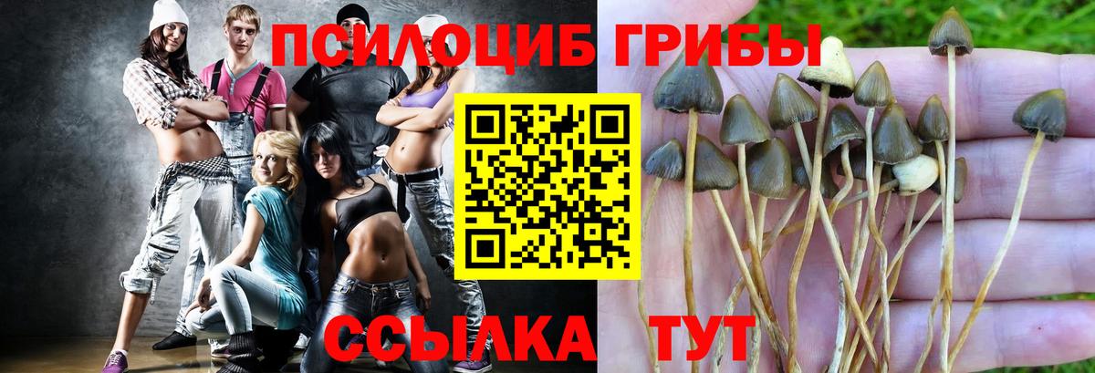 Галлюциногенные грибы Psilocybe  Вход с VPN  Комсомольск-на-Амуре 